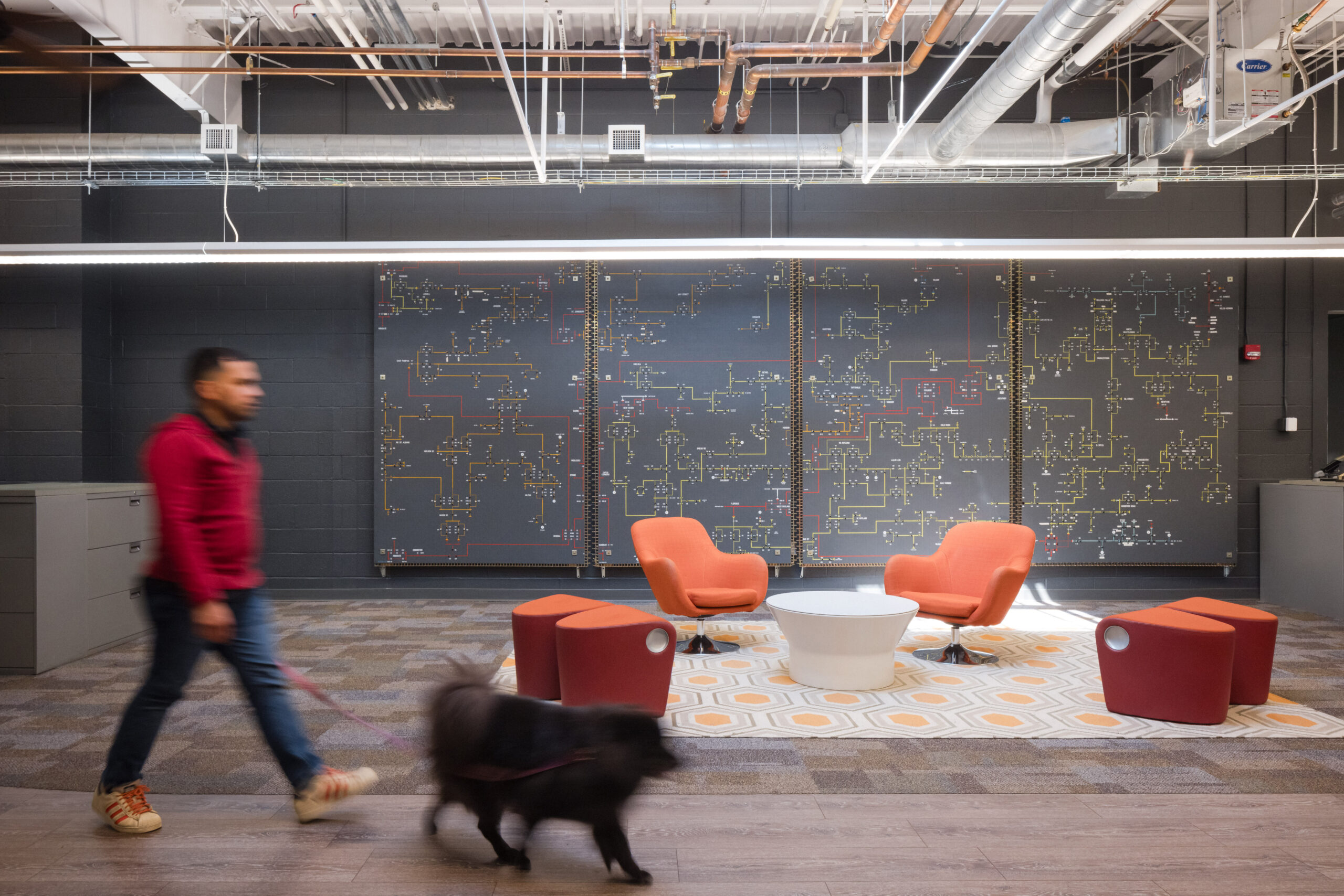 A GMP employee and dog, walking in the office